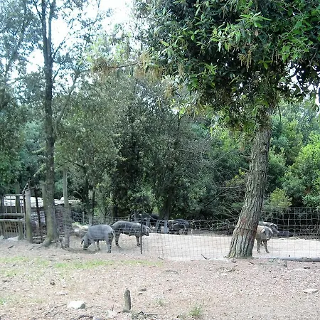 Séjour à la ferme Tenuta La Bandita *