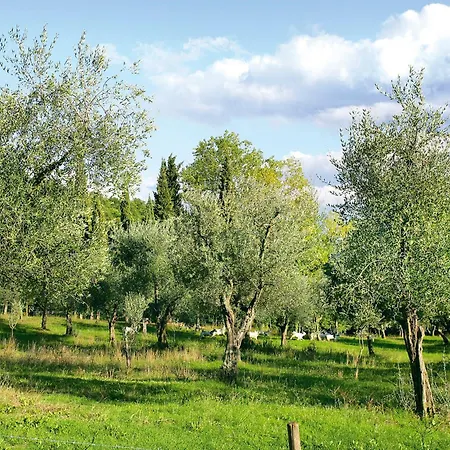 Alloggio per agriturismo Tenuta La Bandita Sassetta