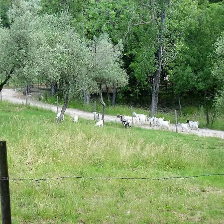 Tenuta La Bandita Sassetta