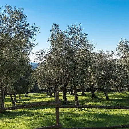 Tenuta La Bandita Sassetta