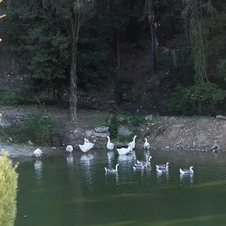 Tenuta La Bandita * Sassetta