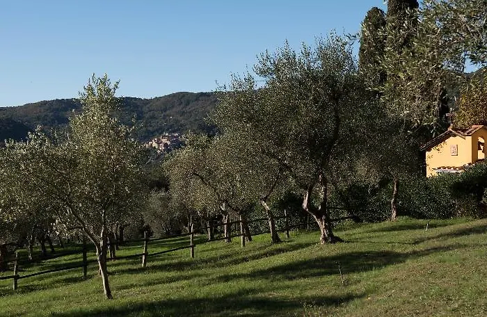 Lantgård Tenuta La Bandita Sassetta