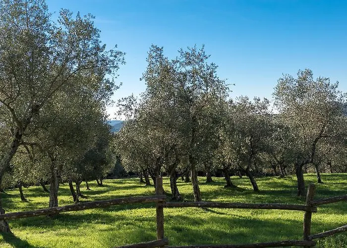 Tenuta La Bandita Sassetta