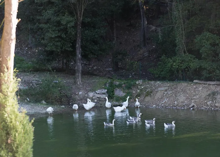 Tenuta La Bandita * Sassetta